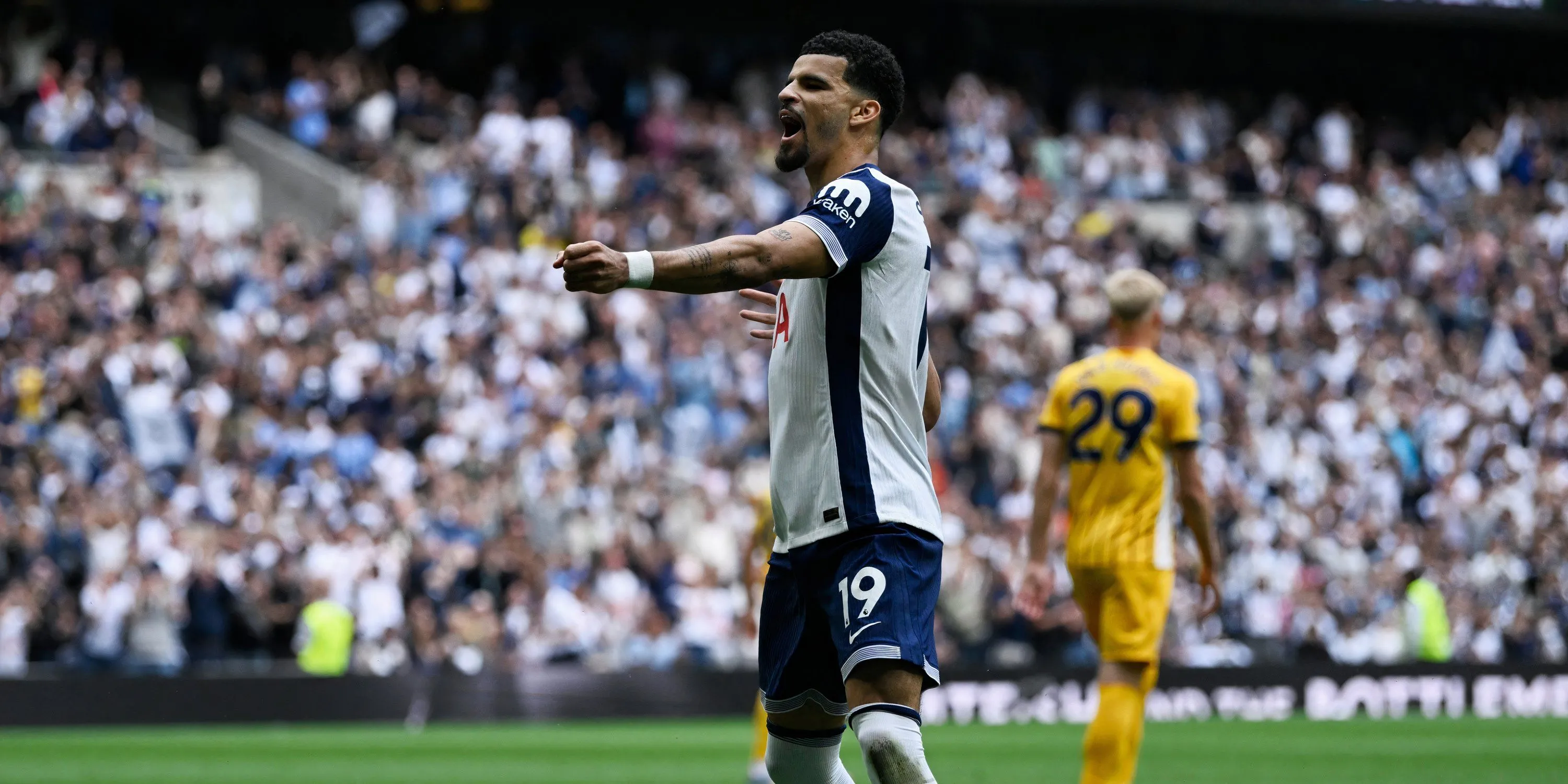Dominic Solanke ăn mừng bàn thắng cho Tottenham