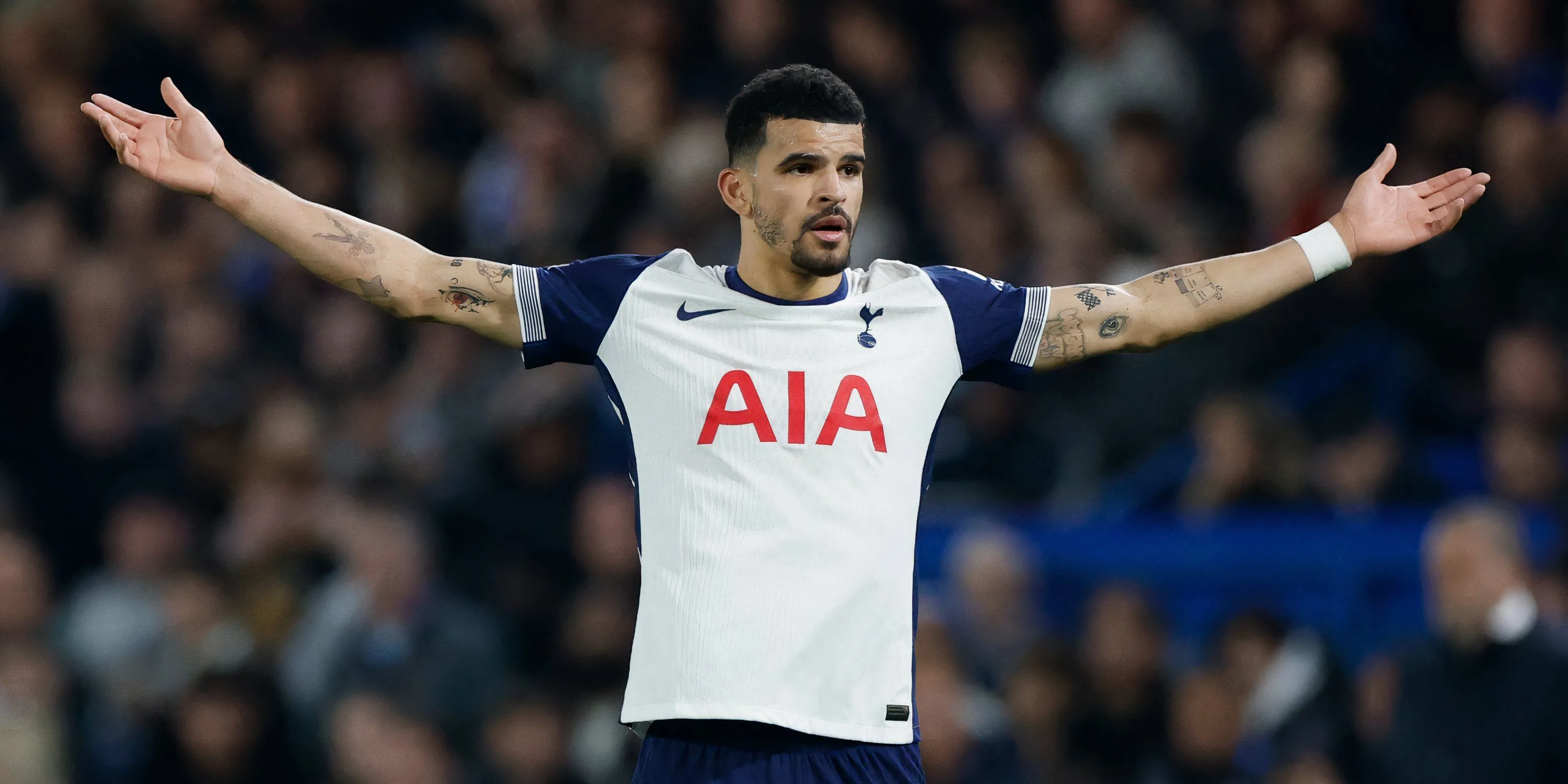 Dominic Solanke mặc áo Tottenham Hotspur trên sân cỏ